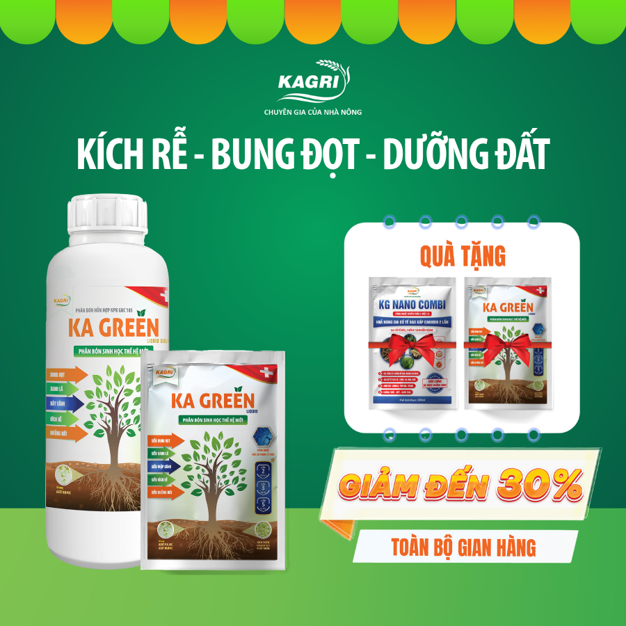 Phân Bón KA GREEN LIQUID KAGRI Dạng Gel 1L Kích Rễ, Bung Đọt, Xanh Lá, Phục Hồi Cây Yếu, Cải Tạo Đất