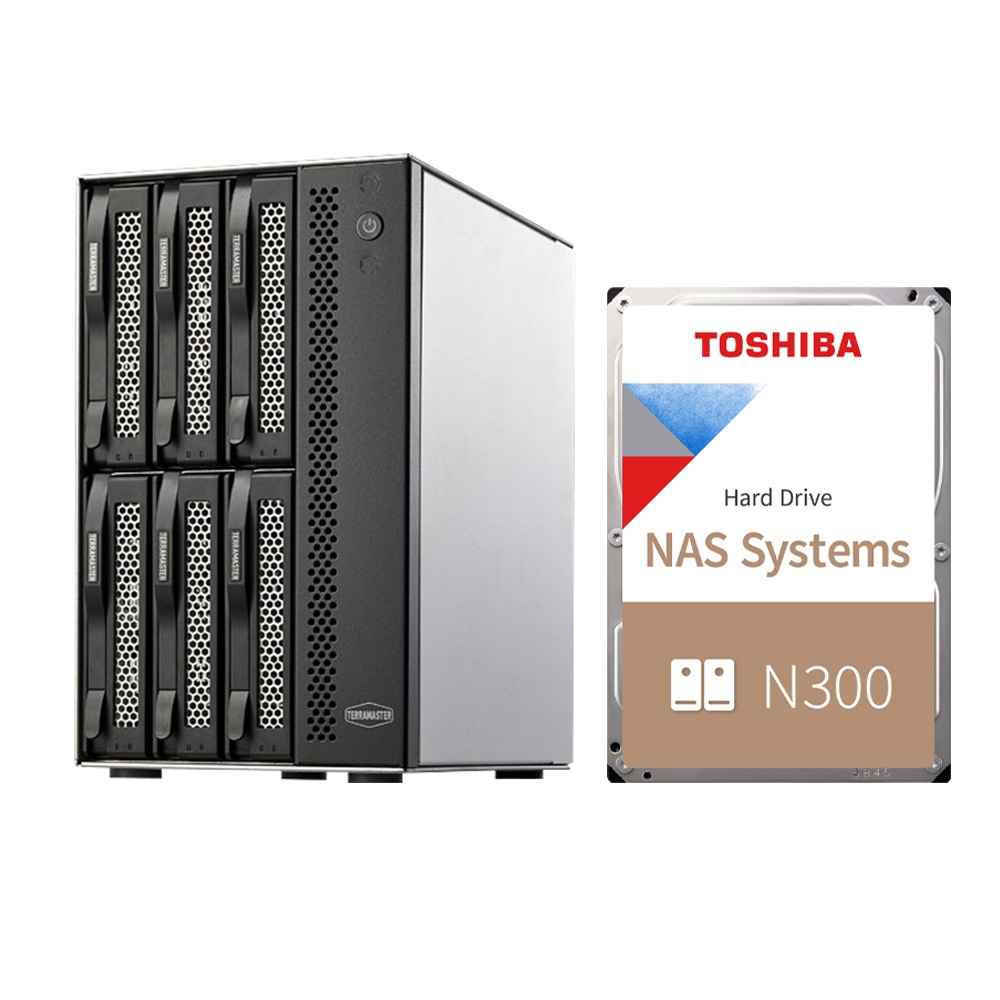 Combo Thiết bị lưu trữ DAS TerraMaster D6-320 6-bay và Ổ Cứng HDD Toshiba N300 Hàng Chính Hãng