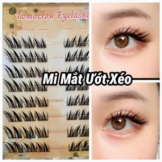 Mi Tomorrow-Mắt Ướt Xéo, Mi Cáo Douyin  độ dài 11-15mm