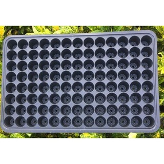 01 Khay Khay Ươm Vỉ Ươm Hat 104 Lỗ (C5.300)