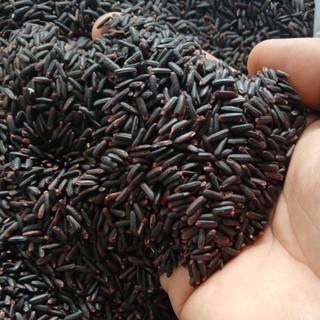 BÁN SỈ 5KG GẠO LỨT ĐEN VỤ MỚI,HẠT NHỎ VÀ ĐỀU,