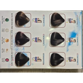 Nhuộm phủ bạc salon pro