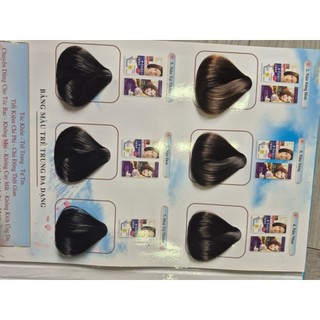 Nhuộm phủ bạc salon pro
