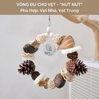 Vòng Đu Tự Nhiên Cho Vẹt - "NUT NUT" | Giúp vẹt gặm nhấm, xả stress | Made By Vẹt Nè