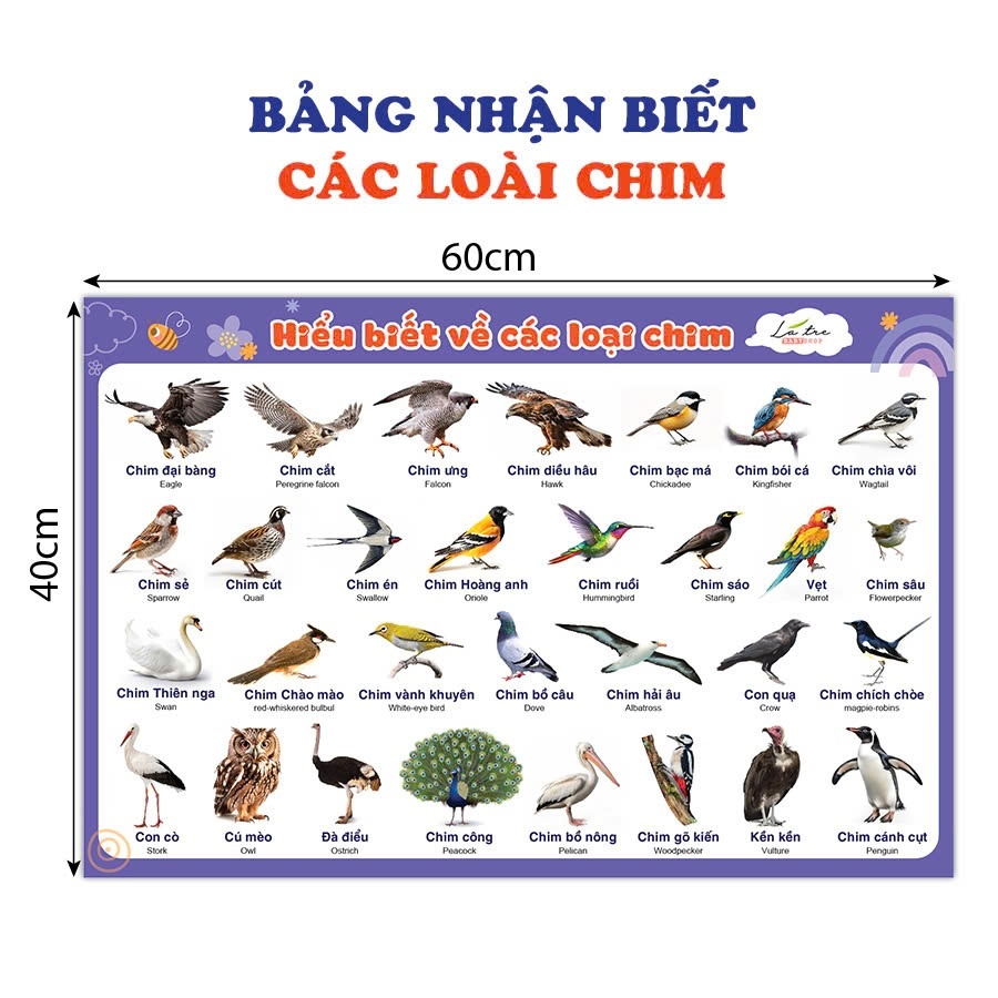 Tranh poster nhiều chủ đề giúp bé nhận biết các loài động vật các loài chim khổ lớn 40x60cm