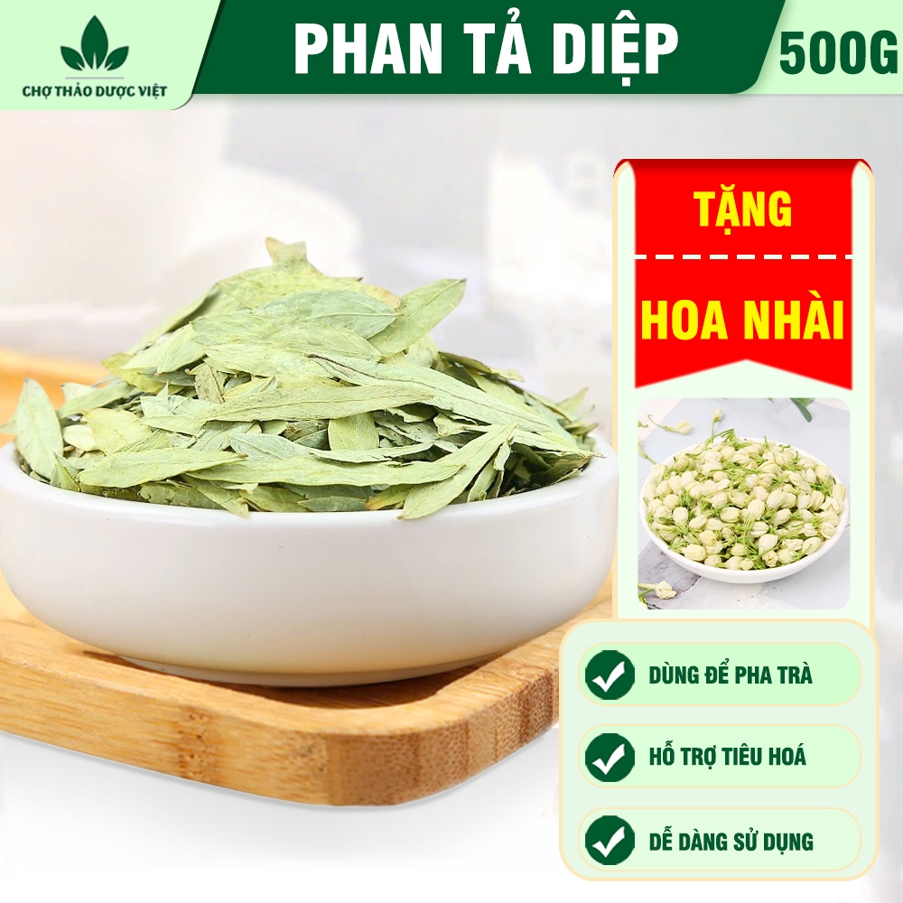 Phan tả diệp 500g, lá phan tả diệp khô, sạch, không vụn, không lẫn tạp chất - Chợ Thảo Dược Việt