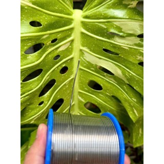 Cuộn thiếc hàn 800gr HIROSHIMA. LK