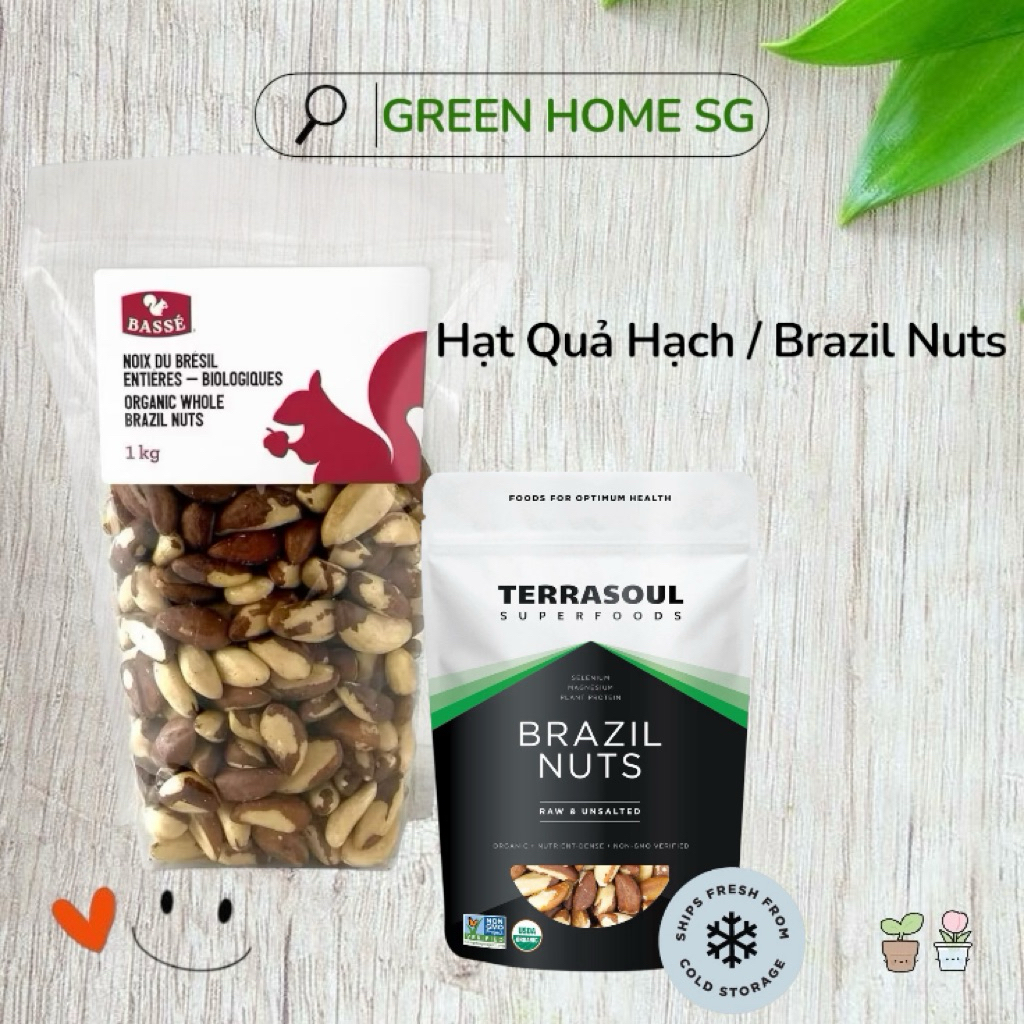 Hạt quả hạch Nam Mỹ/ Hạt Bào Ngư - Brazil Nuts - Thương hiệu Basse
