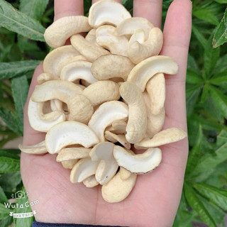 Hạt Điều Tươi Làm Sữa Hạt Loại Ngon