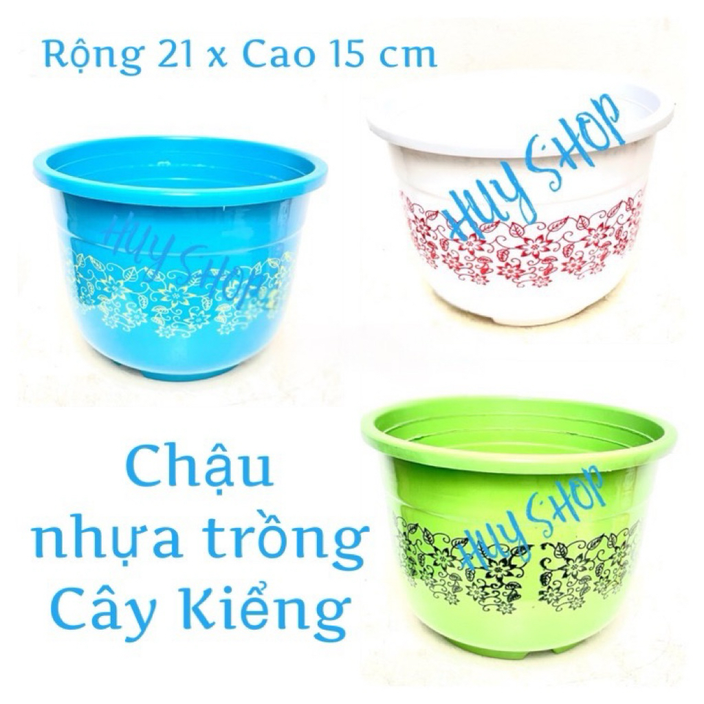 Chậu nhựa Trồng Hoa IN Hoa Văn (21x15 cm) trang trí nhà cửa
