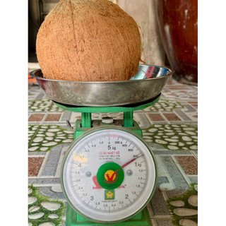 Dừa Khô Nhà Trồng – Cơm Dày, Nhiều Nước