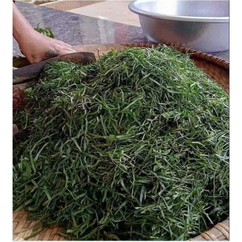 Lá Lằng khô ( Lá Đắng)- một đặc sản nổi tiếng của vùng đất Nghệ An (đặc biệt là Quỳnh Lưu, Nghệ An. 