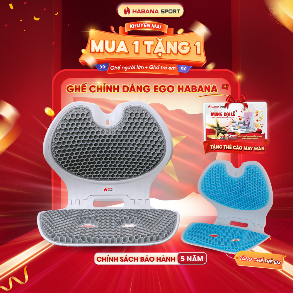 [HABANA SPORT CHÍNH HÃNG] Ghế Chỉnh Dáng EGO Công Thái Học Gấp Gọn, Hỗ Trợ Xương Sống, Giảm Đau Mỏi.