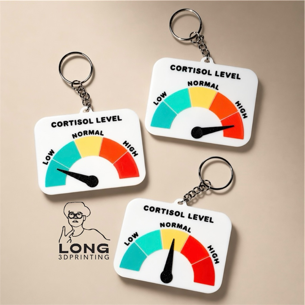 Móc Khoá Low Cortisol in 3D Bảng Low Cortisol Meme in 3D Long 3D Printing