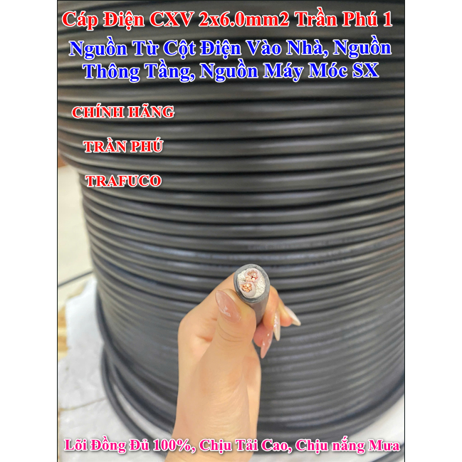 Dây Cáp Điện Nguồn CXV 2X6 Chính Hãng Trần Phú Phương Liệt-Lõi Đồng 100%-Vỏ Bọc Chống Cháy Chịu Nhiệ