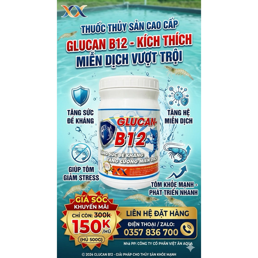 GLUCAN B12 TĂNG SỨC ĐỀ KHÁNG VÀ HỆ MIỄN DỊCH CHO TÔM CÁ