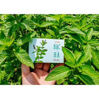 Xà Bông Bạc Hà HTX Sinh Dược 110g xà bông handmade tự nhiên