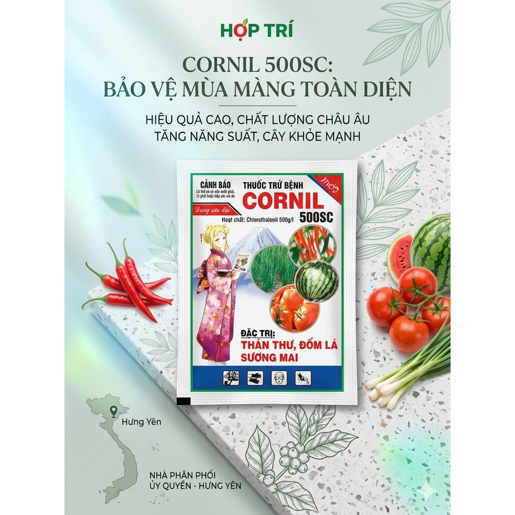 Daconil 500sc- phòng thán thư đốm lá sương mai trên cây trồng