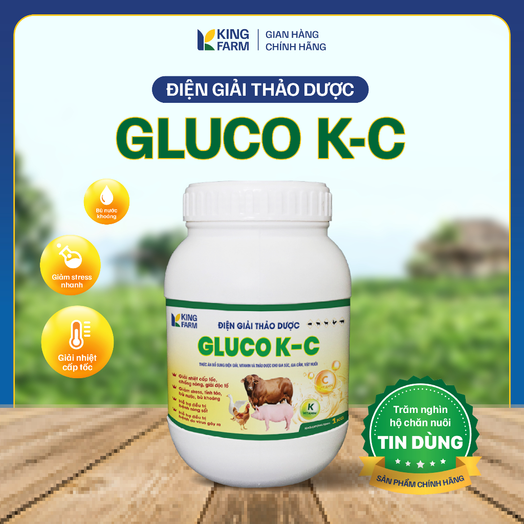 BIGKING Điện GIải Thảo Dược - Plus thức ăn bổ sung vitamin K và C điện giải cho gia súc, gia cầm