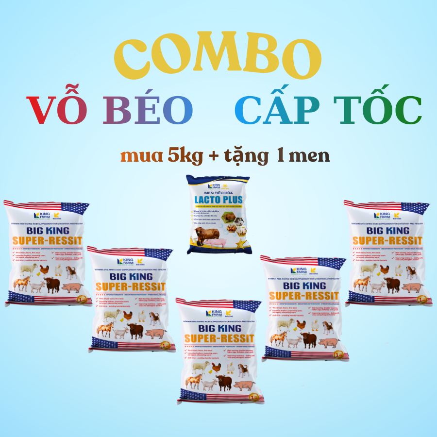 [Combo Vỗ Béo Cấp Tốc]  Giúp Vật Nuôi  Tăng Trưởng Nhanh,Tăng Cường Miễn Dịch - BigKing Super Ressit