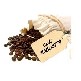 Cà phê hạt Culi Robusta Trung Nguyên hạt số 1 (bịch 3kg)