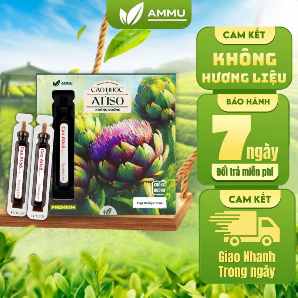 [KOL Live] Cao Ống Atiso Không Đường AMMU Atiso Đà Lạt Dạng Uống Tiện Lợi Hương Thanh Nhẹ Dễ Dùng Hộ