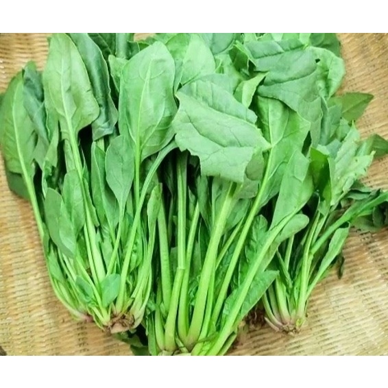 [Laifarm] Rau cải bó xôi tươi sạch 1kg - Rau Củ Đà Lạt Deli