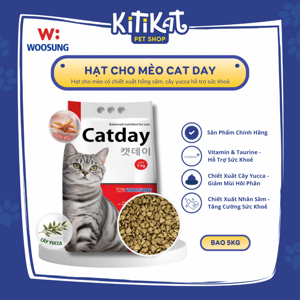 [Seal 5kg] Hạt Dinh Dưỡng Cho Mèo CATDAY 5kg - Hồng Sâm Tăng Đề Kháng, Yucca Hạn Chế Hôi Phân