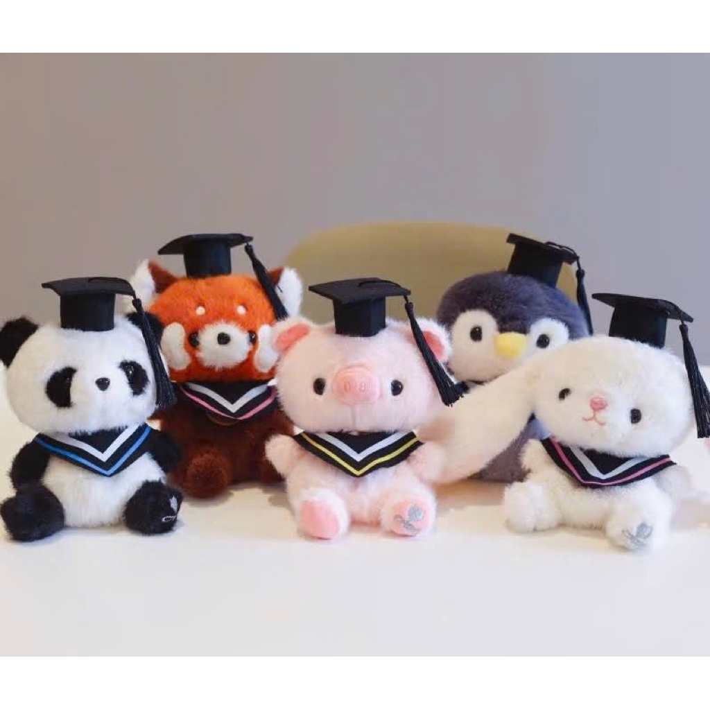 Gấu Bông Tốt Nghiệp 25cm Mẫu Cánh Cụt, Panda, Heo Hồng, Thỏ Trắng, Red Panda Xinh Xắn Làm Quà Tặng