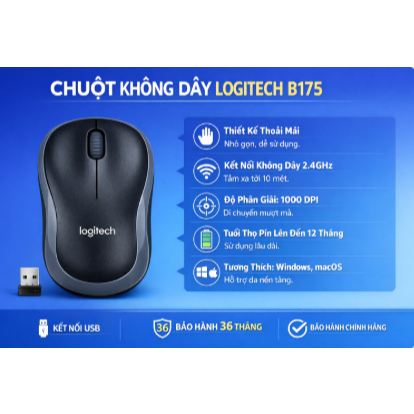 Chuột Không Dây Logitech B175
