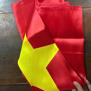 CỜ TỔ QUỐC (720x1100)- vải phi - 1 lá