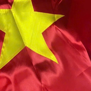 CỜ TỔ QUỐC (720x1100)- vải phi - 1 lá