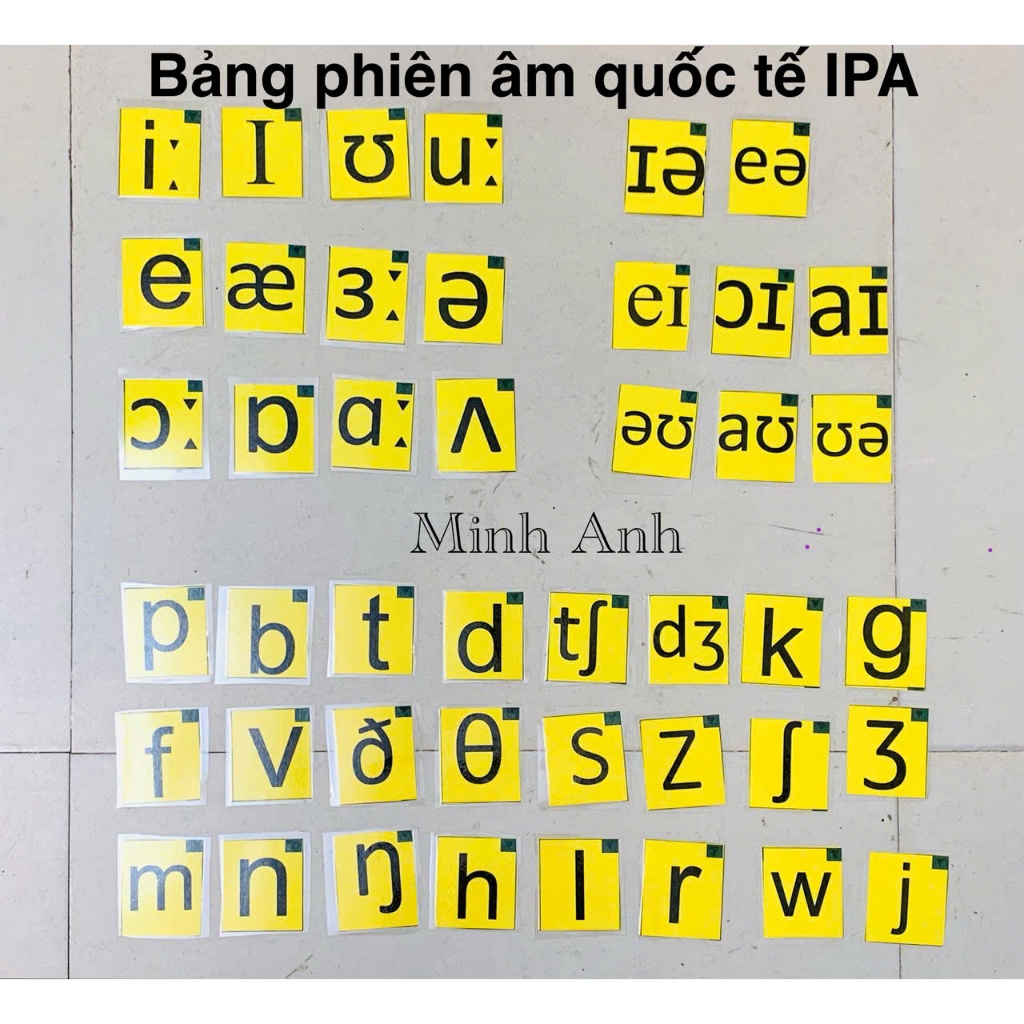 Bộ 44 thẻ phiên âm quốc tế IPA đã ép plastic và dán sẵn nam châm