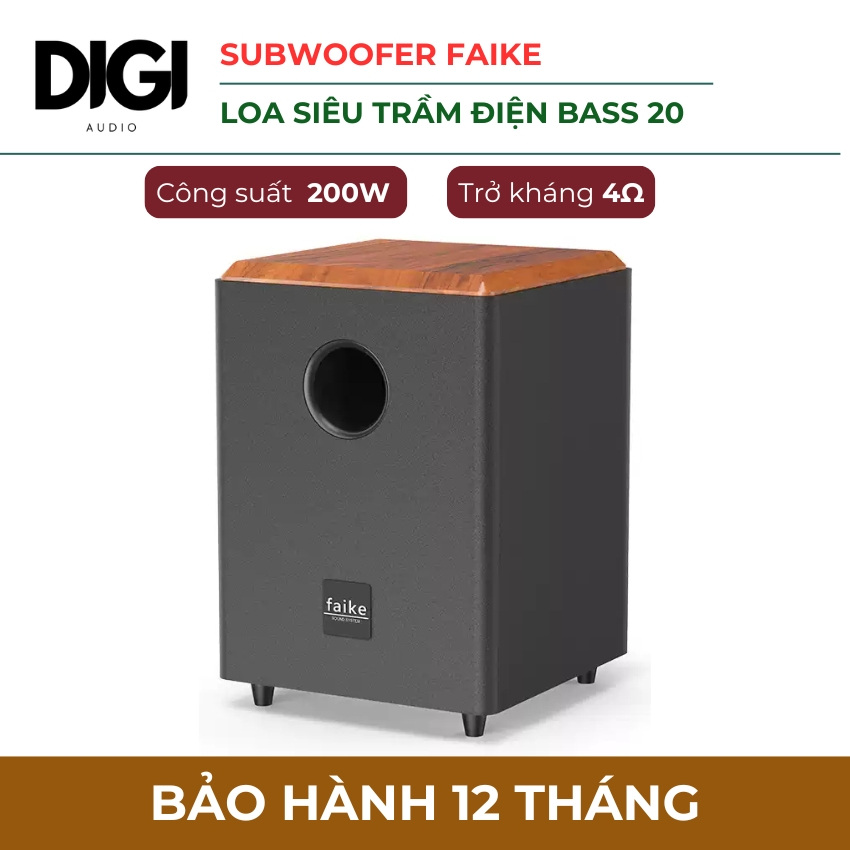 Loa Sub Điện Bass 20 Faike Công Suất Đỉnh 200W, Hiệu Ứng Âm Thanh Sống Động, Loa Siêu Trầm Cao Cấp C