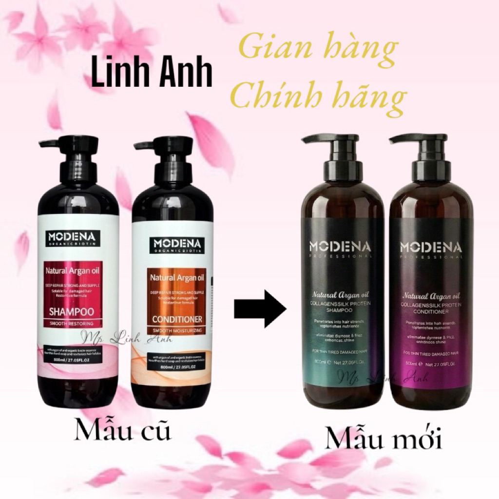 DẦU GỘI THUẦN CHAY MODENA