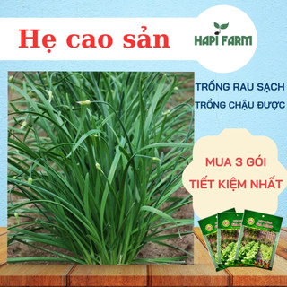 Hạt Giống Rau Lá Hẹ Cao Sản(Combo 3 Gói), Dễ Trồng, Trồng Chậu, Trồng Ban Công TR21