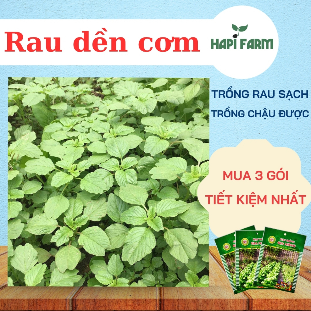 Hạt Giống Rau Dền Cơm - Rau Ăn Lá Dễ Trồng, Nảy Mầm Nhanh TR47