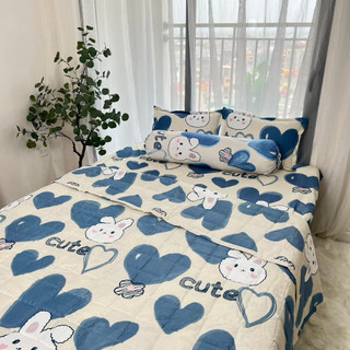 Set chăn hè cotton poly 5 món size ga 1m2 (kích thước giường đơn)