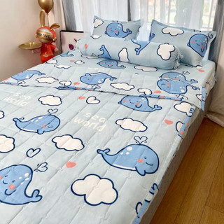 Set chăn hè cotton poly 5 món size ga 1m2 (kích thước giường đơn)
