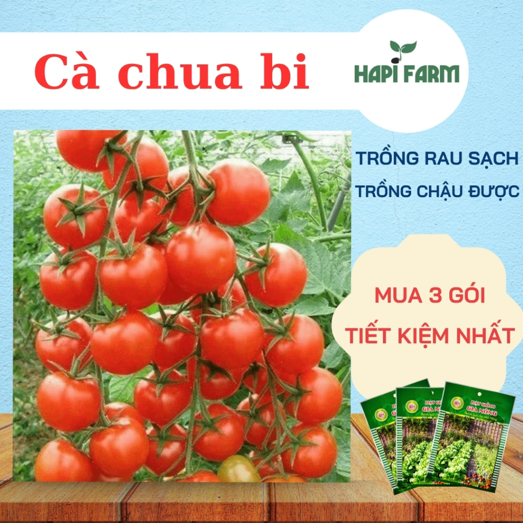 Hạt Giống Cà Chua Bi -Trái Nhỏ Xinh, Ngọt Thanh, Cây Dễ Trồng, Dễ Chăm TC26