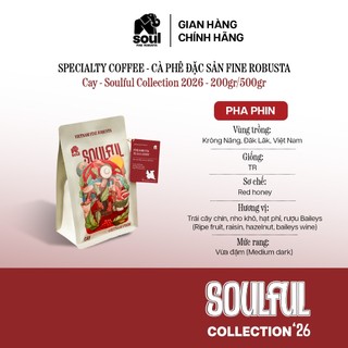 HỘP QUÀ TẶNG ĐẶC SẢN | CÀ PHÊ PHA PHIN 4 MÓN - SET EXPERIENCE 02 - CÀ PHÊ FINE ROBUSTA PHA PHIN, TRÀ Ô LONG, PHIN CÀ PHÊ