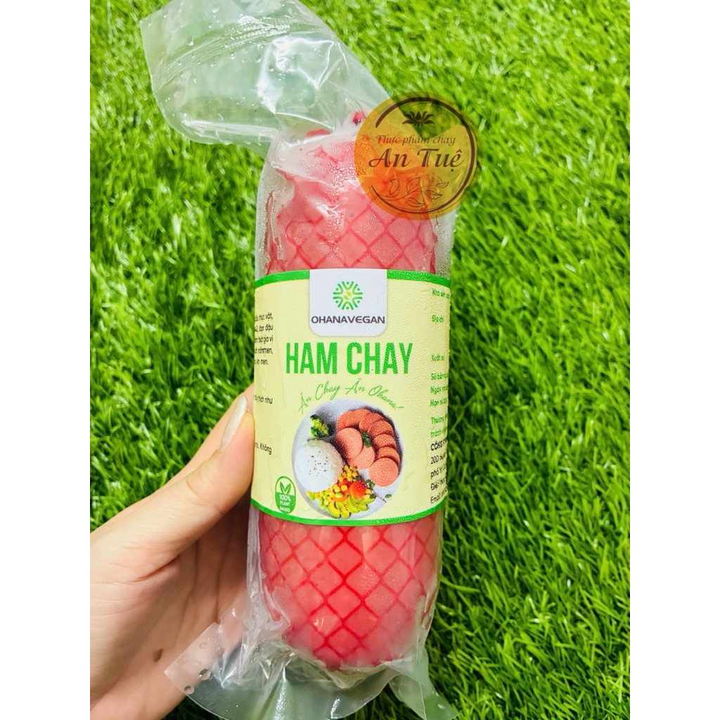 Ham thịt chay cao cấp 400g/ ham thịt nhập khẩu/ TPC AN TUỆ