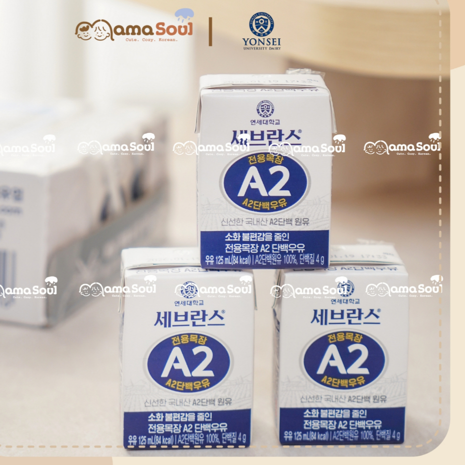 [Date 9/2026] Sữa tươi A2 Yonsei Hàn Quốc – Đạm A2 – Hộp 125ml cho bé từ 1y