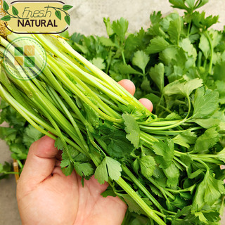 Hạt giống cần tây