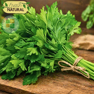 Hạt giống cần tây