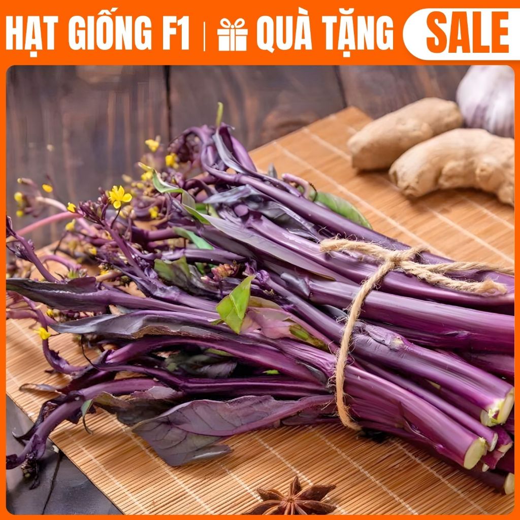Hạt Giống Rau Cải NGỒNG TÍM năng suất cao, Dễ Trồng, Rất Ngon, hàng công ty chất lượng cao