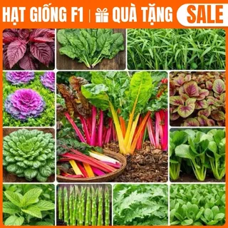 Hạt giống rau thơm, rau gia vị, rau củ quả các loại trồng quanh năm nảy mầm tốt chất lượng cao
