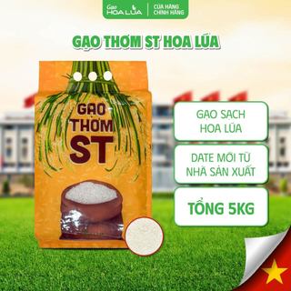 Gạo Thơm ST túi 5kg - Dẻo vừa, mềm cơm, thơm ngon