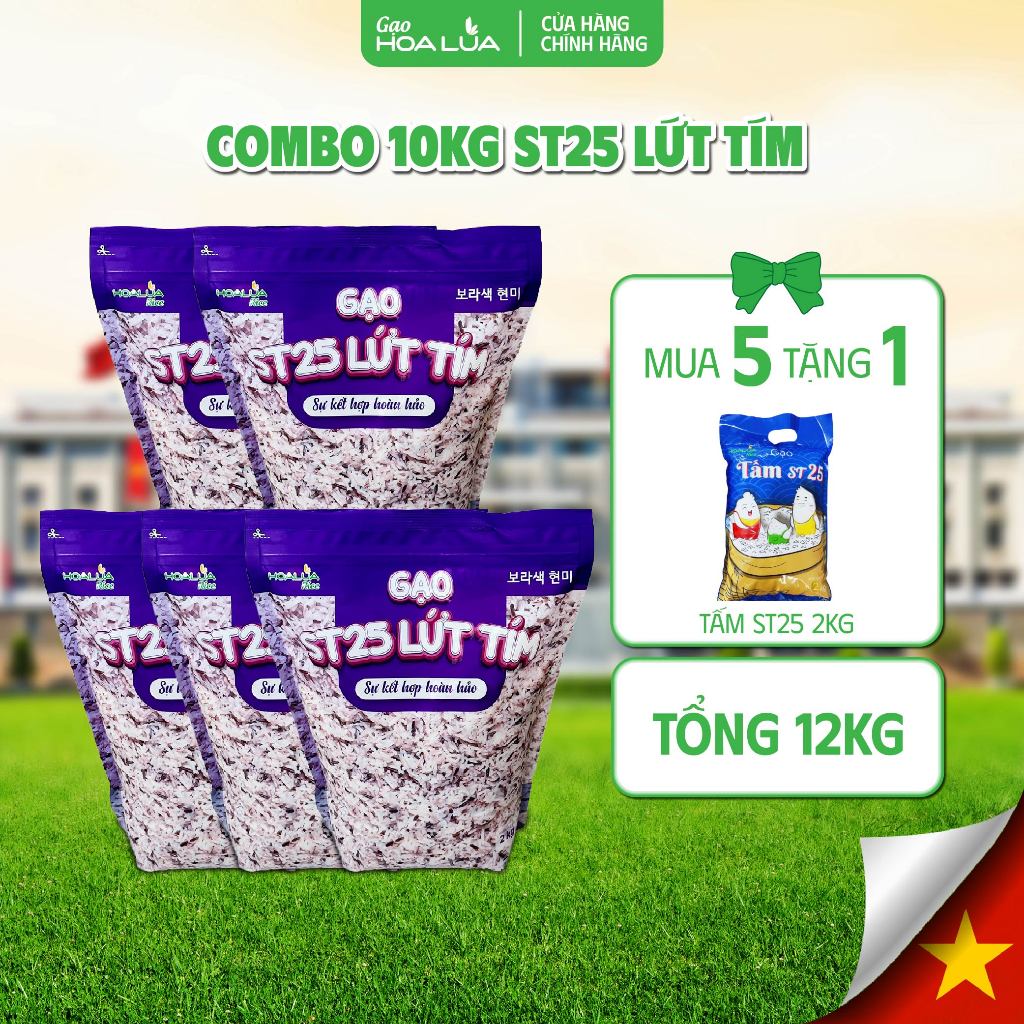 [TẶNG 2Kg Tấm ST25] COMBO 10kg Gạo ST25 Lứt Tím (Tổng 12kg)