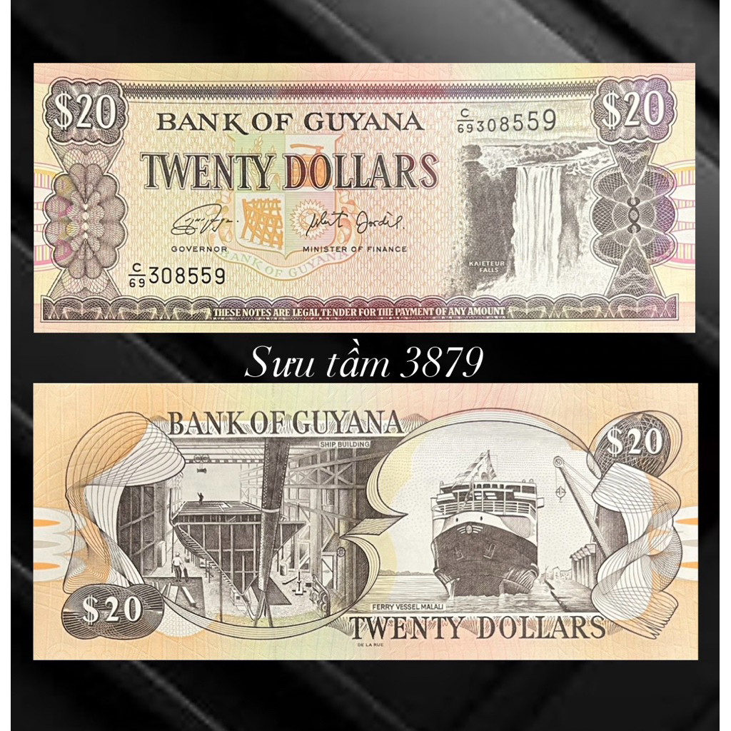 sưu tầm châu mỹ : 20 Guyana 1996 sưu tầm quà tặng ,mới 100%